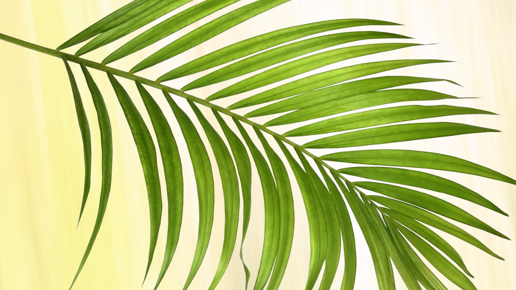 2026.02.15 - Featured image.png