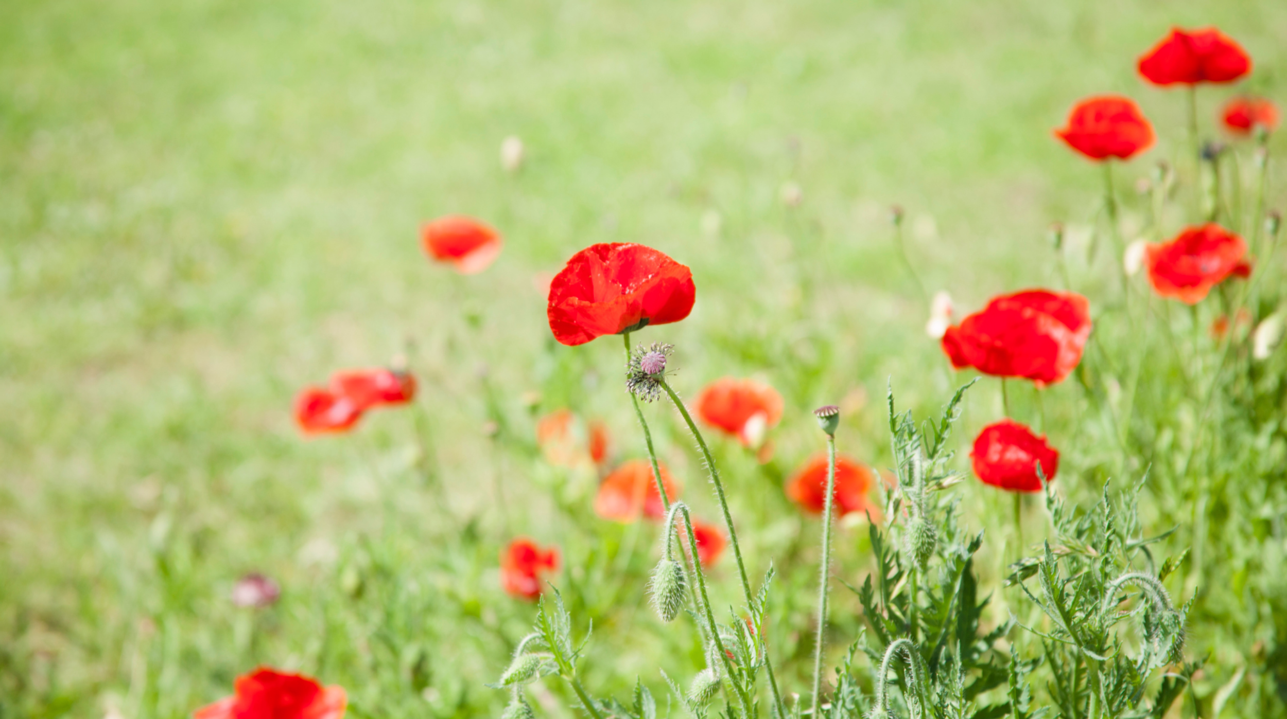 2025.11.09 Featured Image.png