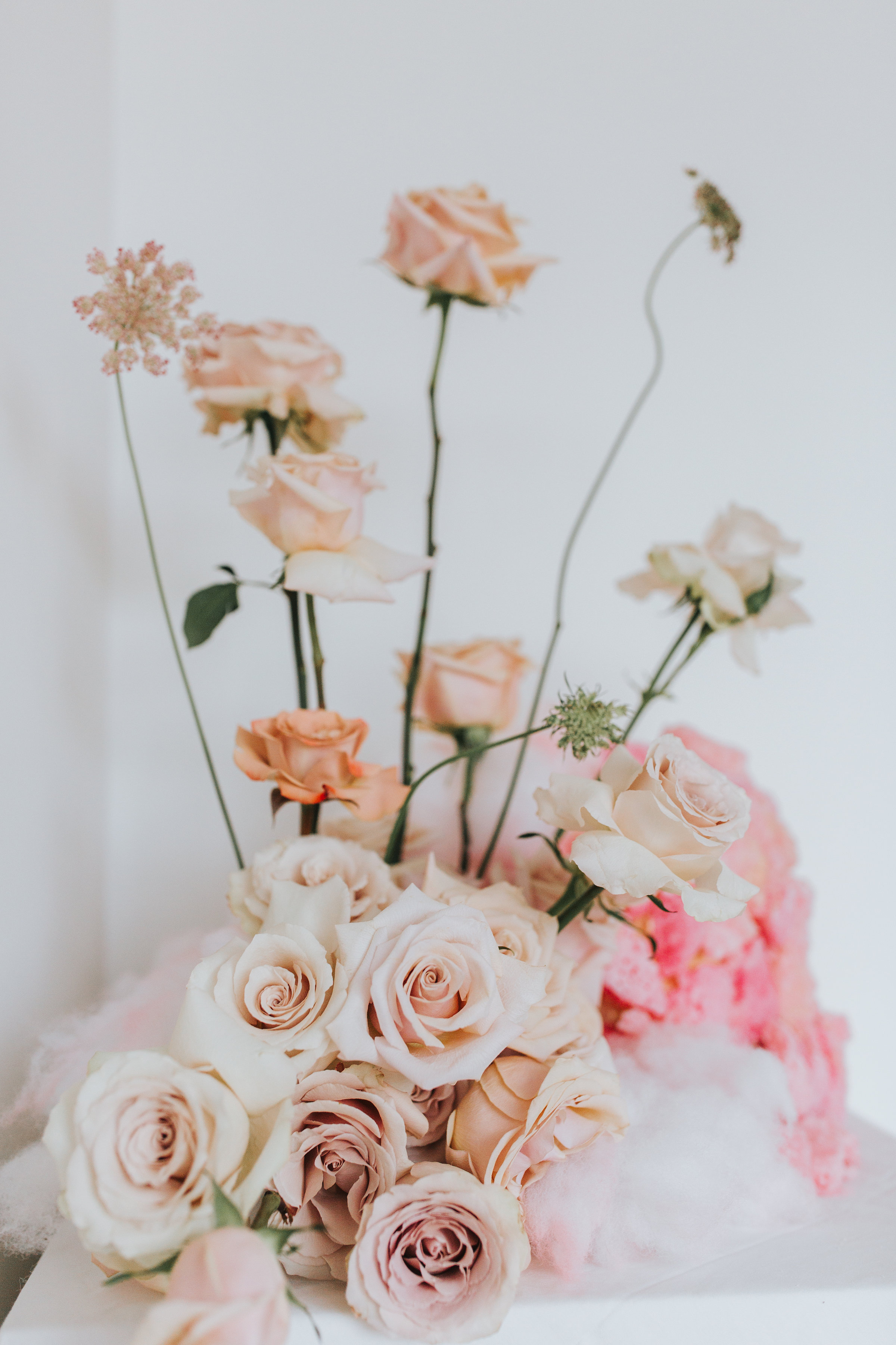3cakeshoot_HighRes(17of77).jpg