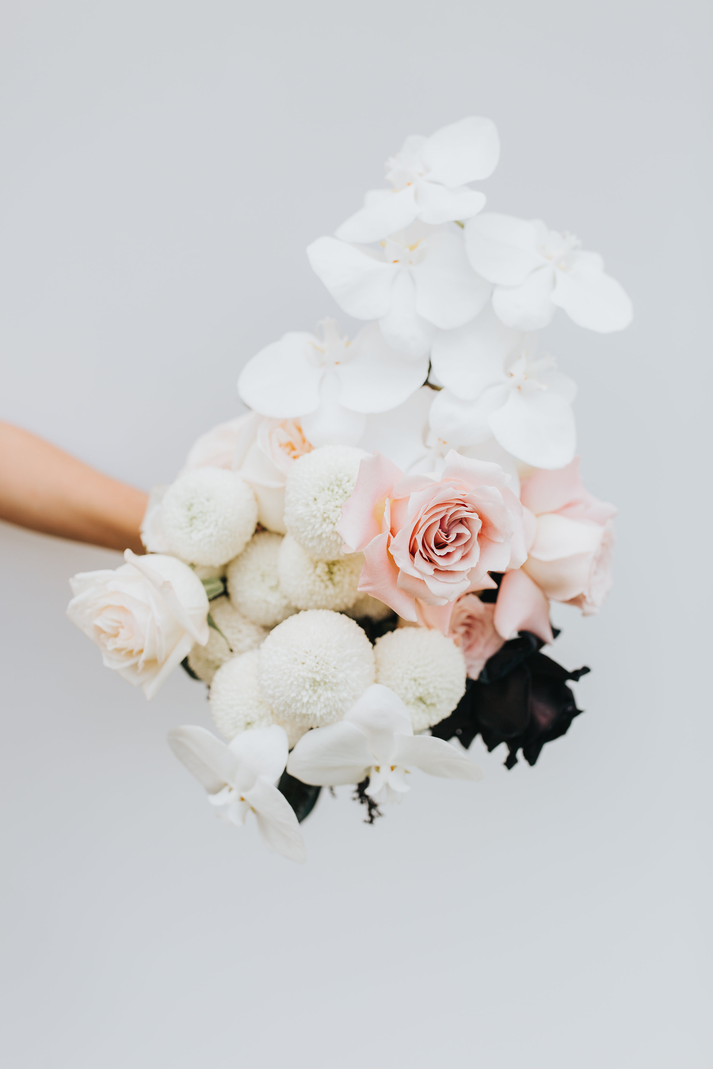 MillieFlowers_HighRes(56of70).jpg