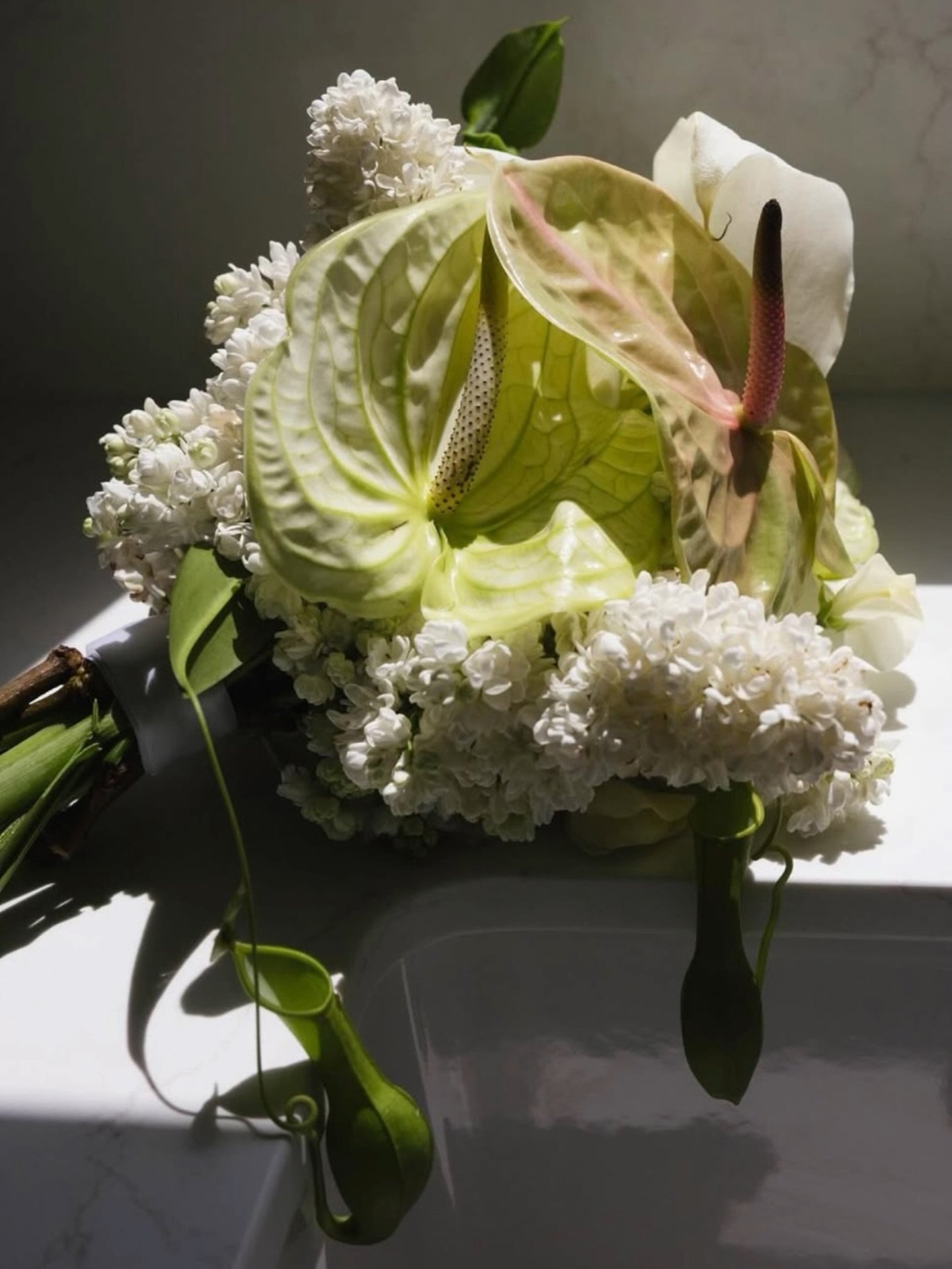 One of my favourite bouquets to date captured by @alcornimages 💚

#brisbaneweddingflorist #bridalbouquets #kwilalodgewedding