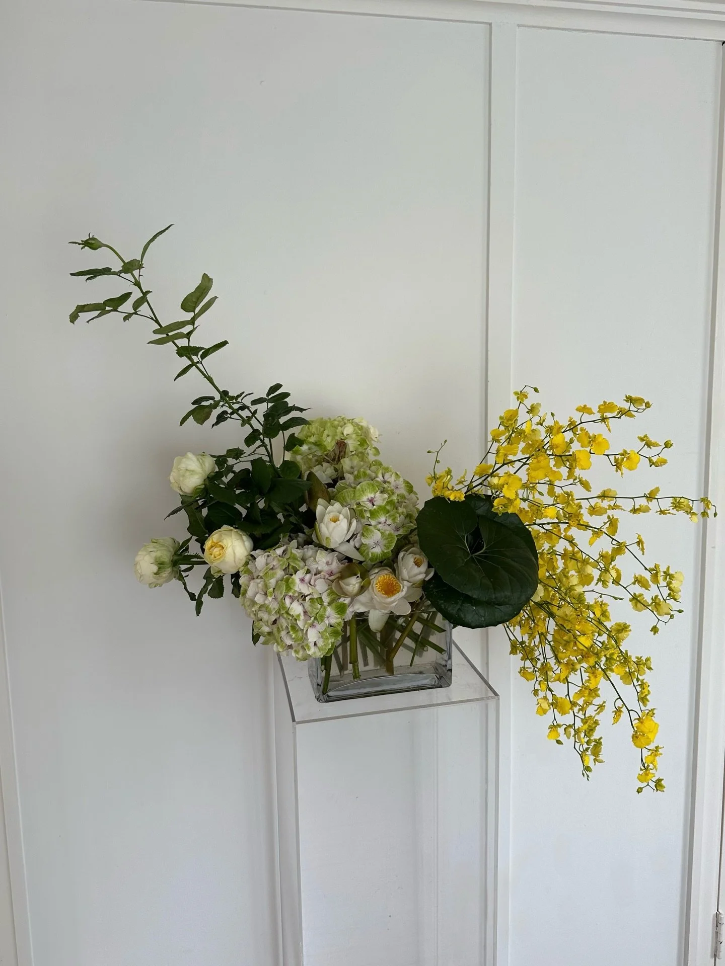 A few of my favourite things 💛