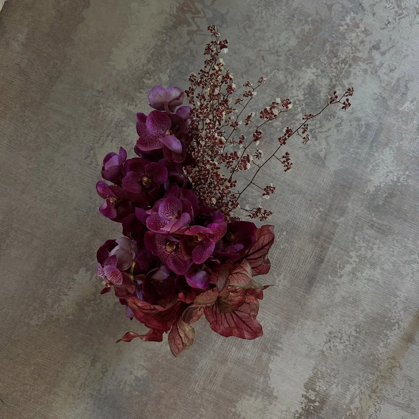 Feeling inspired after a beautiful week with beautiful talented friends and visits to some of my fave NSW growers &amp; wholesalers 😍