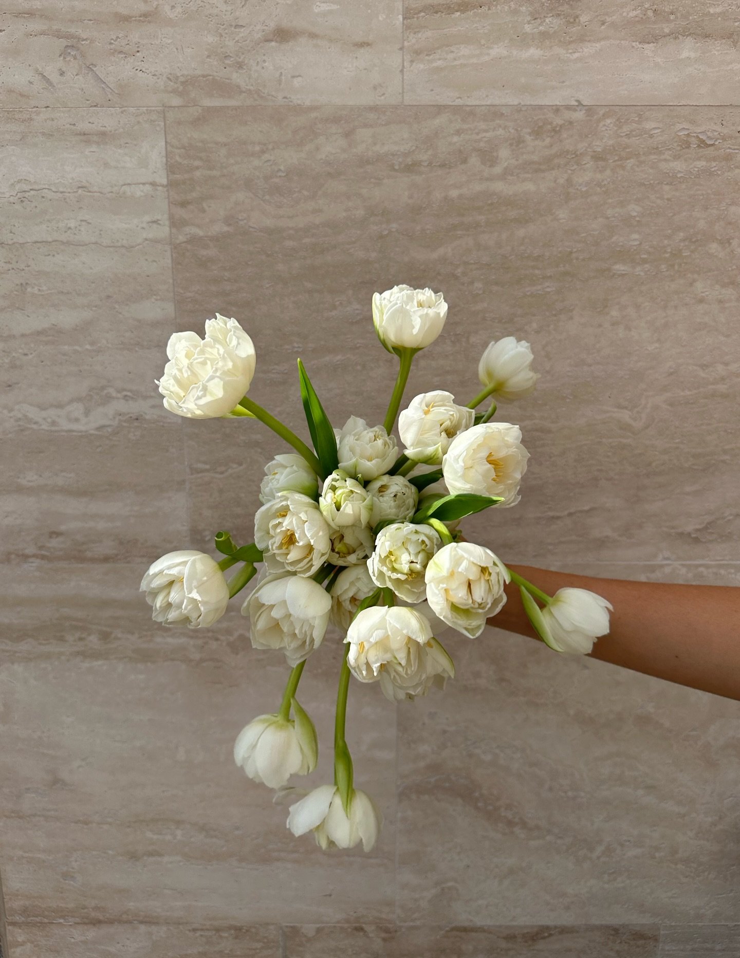 Come back to me double tulips 😭