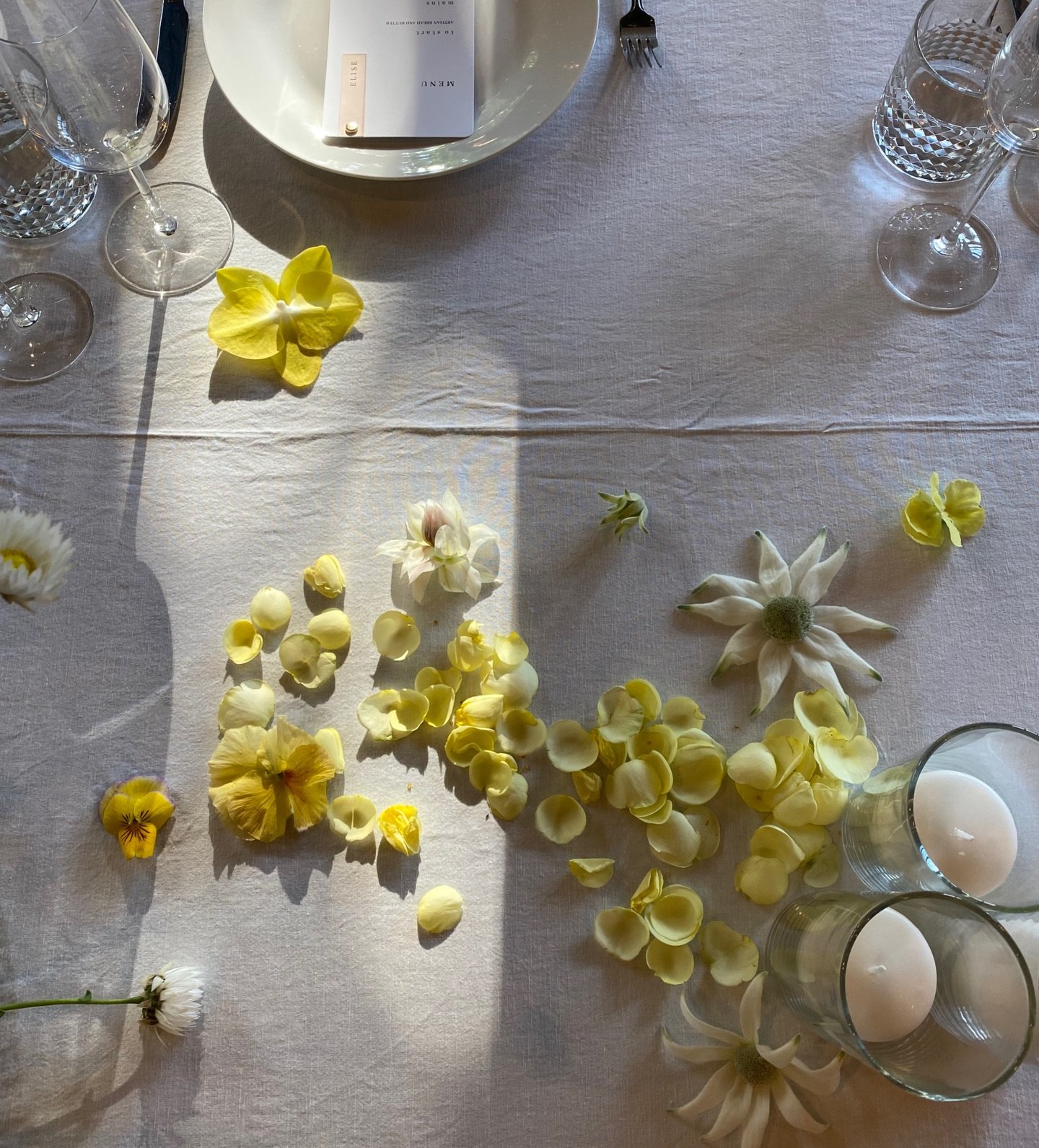 Morning light with a sprinkle of magic ✨