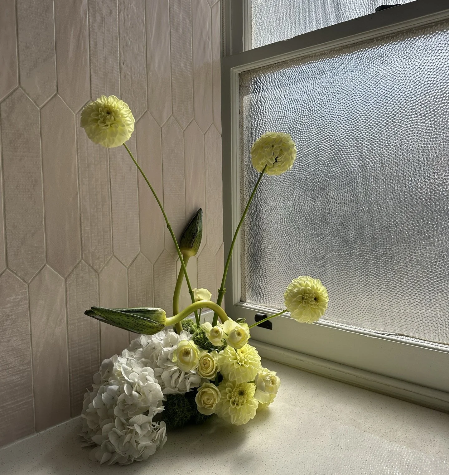 Each bloom, a note in something unspoken, drawn together into a melody that lingers 🎵