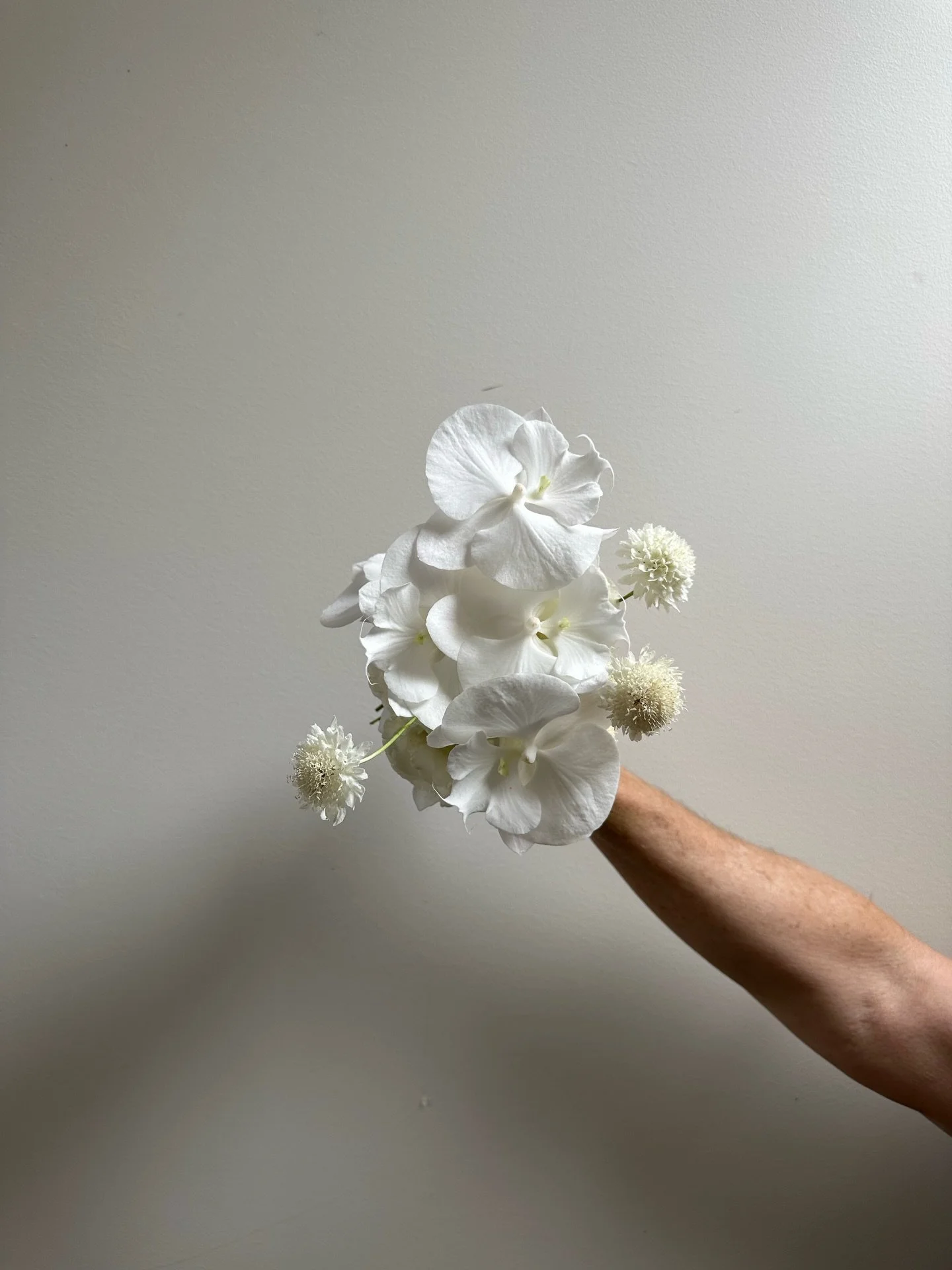 ☁️☁️☁️☁️