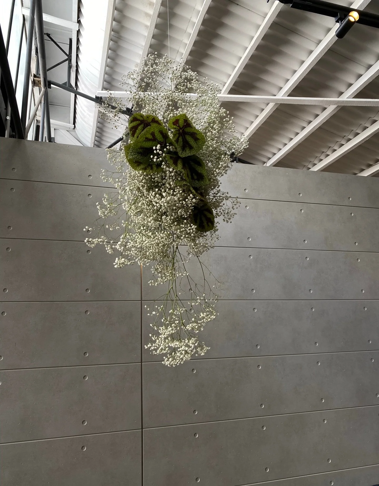 Happy Monday beauties ☁️