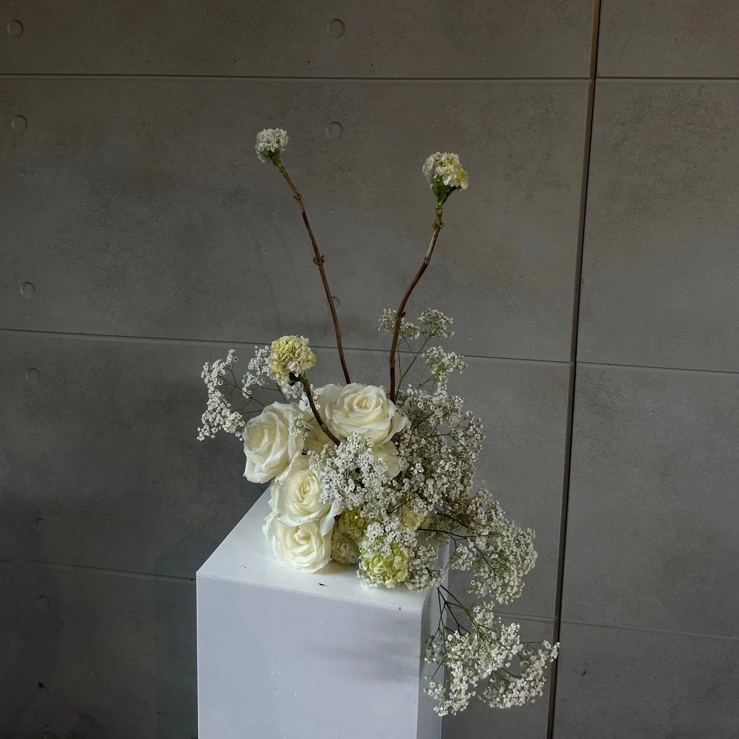 When a venues lighting and walls make every arrangement feel like a sculpture in an art gallery 🙌

@therefinery__