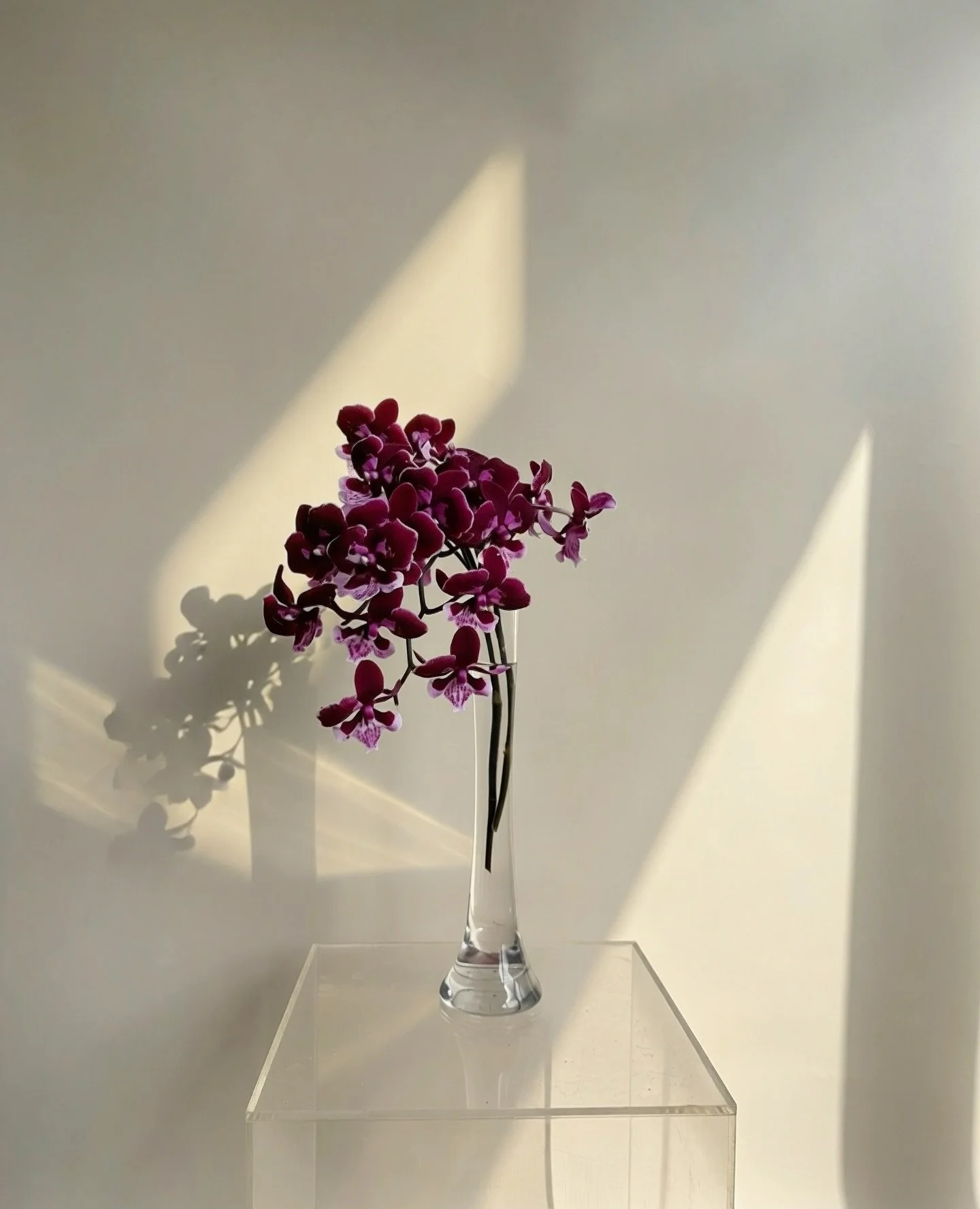 Sometimes things are just too beautiful to walk away from ❤️&zwj;🔥