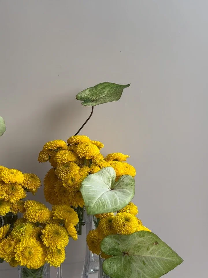 For @sbsondemand 💛💛💛💛

#yellowflowers #brisbaneeventflorist #brisbaneflorist