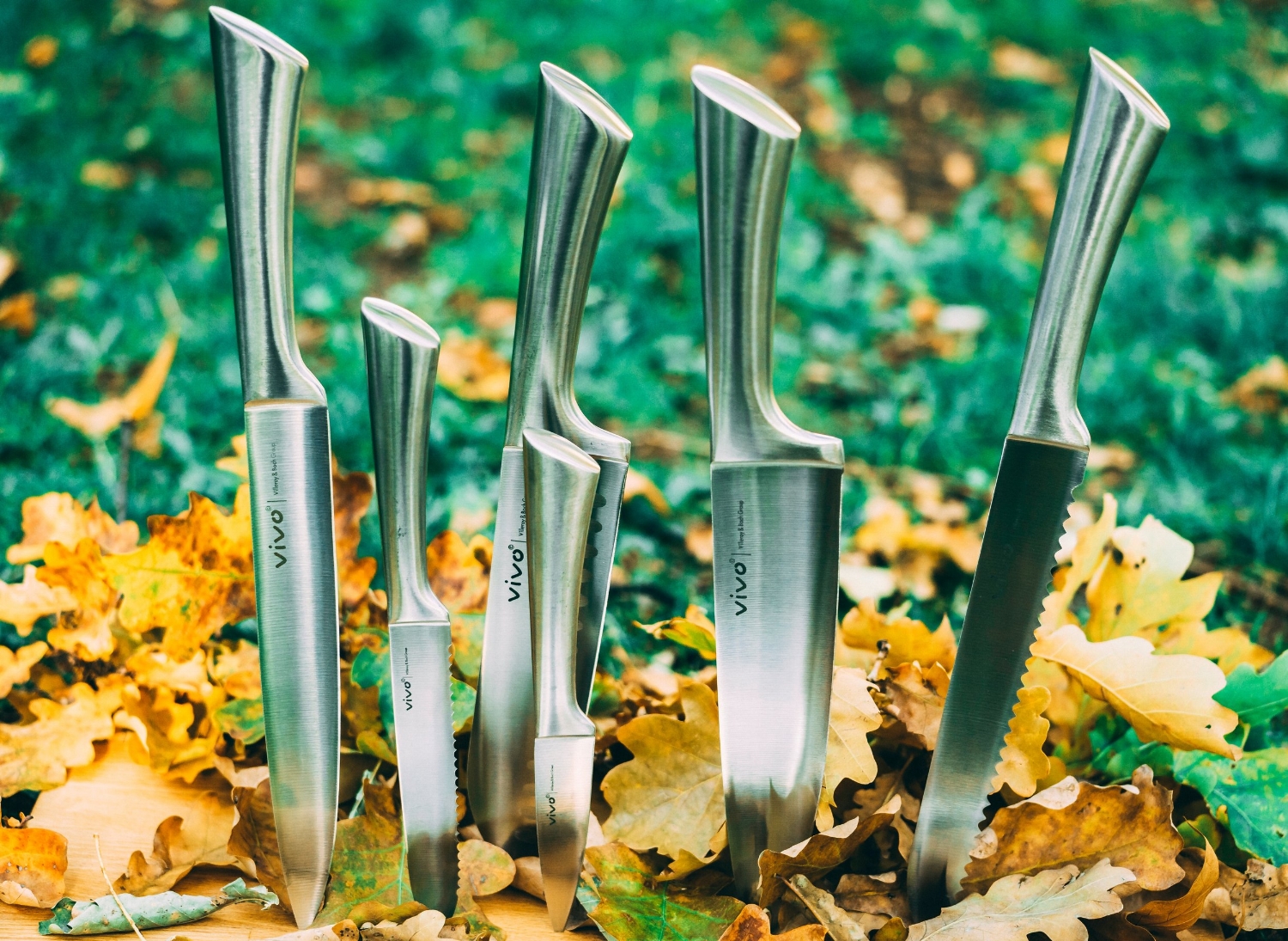 https://images.squarespace-cdn.com/content/v1/58a24e42893fc0a86bdef4ae/1541178574353-6BZLI3C79T8JNBQGPI26/knives-in-leaves.jpg