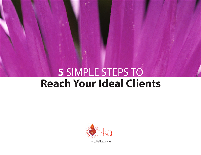 IdealClientWorkbook_2016-1.png