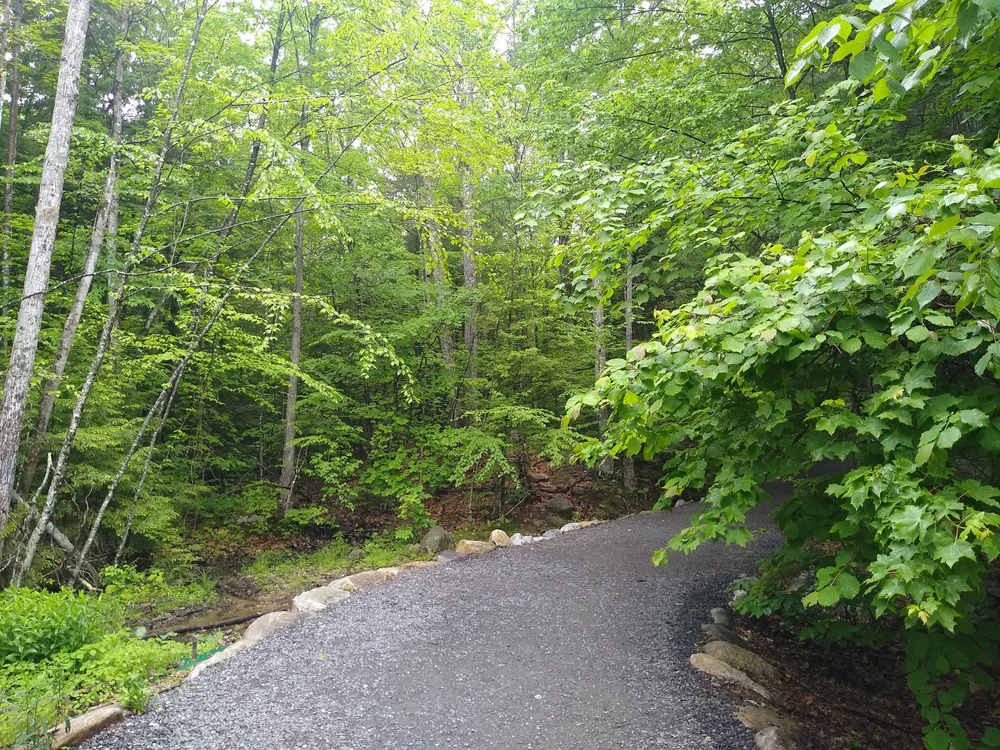 IMG_20220601_141136559.jpg