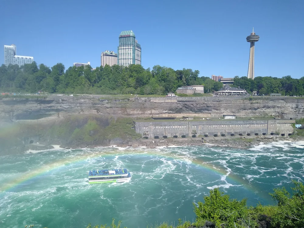 IMG_20220603_105647960.jpg