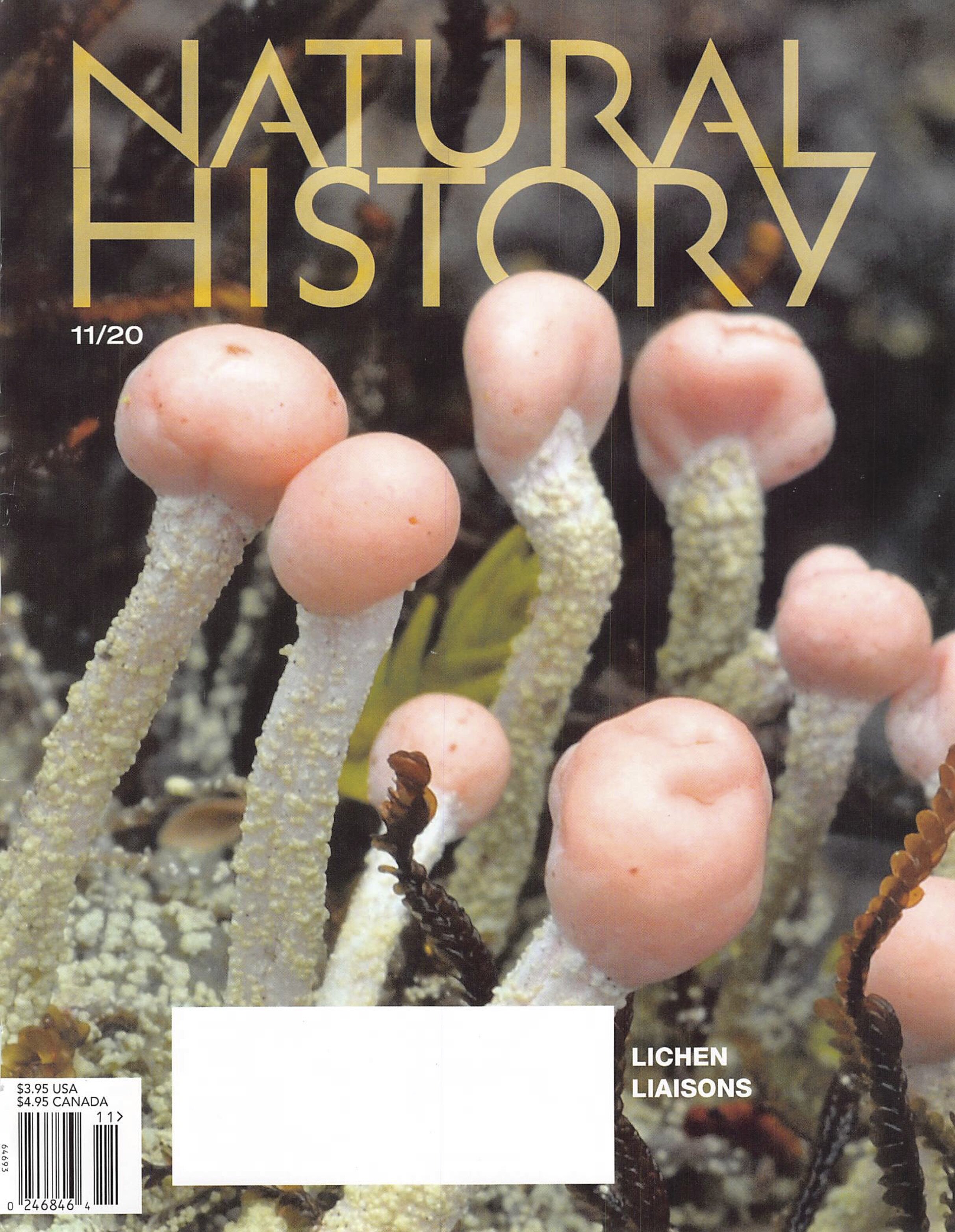 Natural History cover.jpg