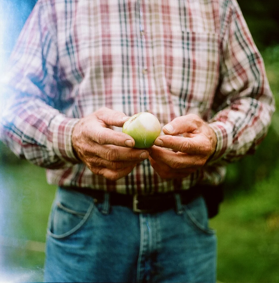 Grow06.jpg