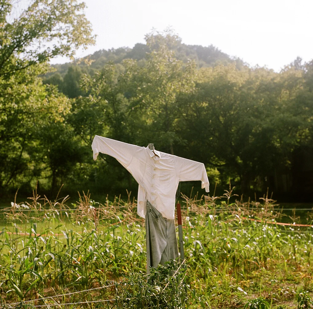 Grow07.jpg