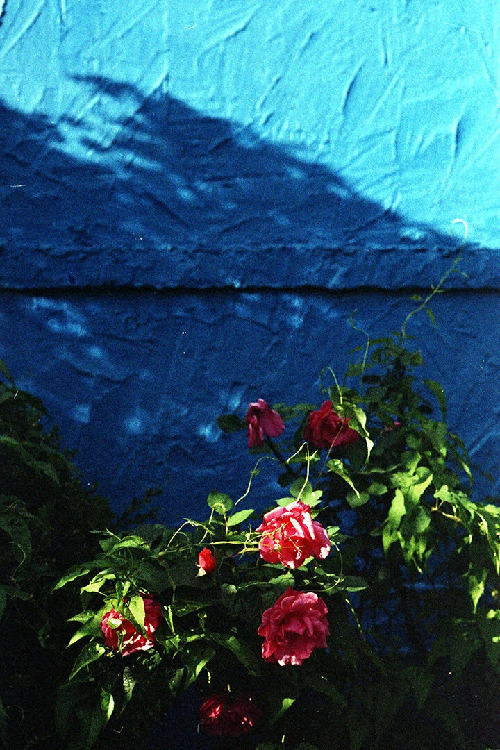 AmericanDecay056.JPG