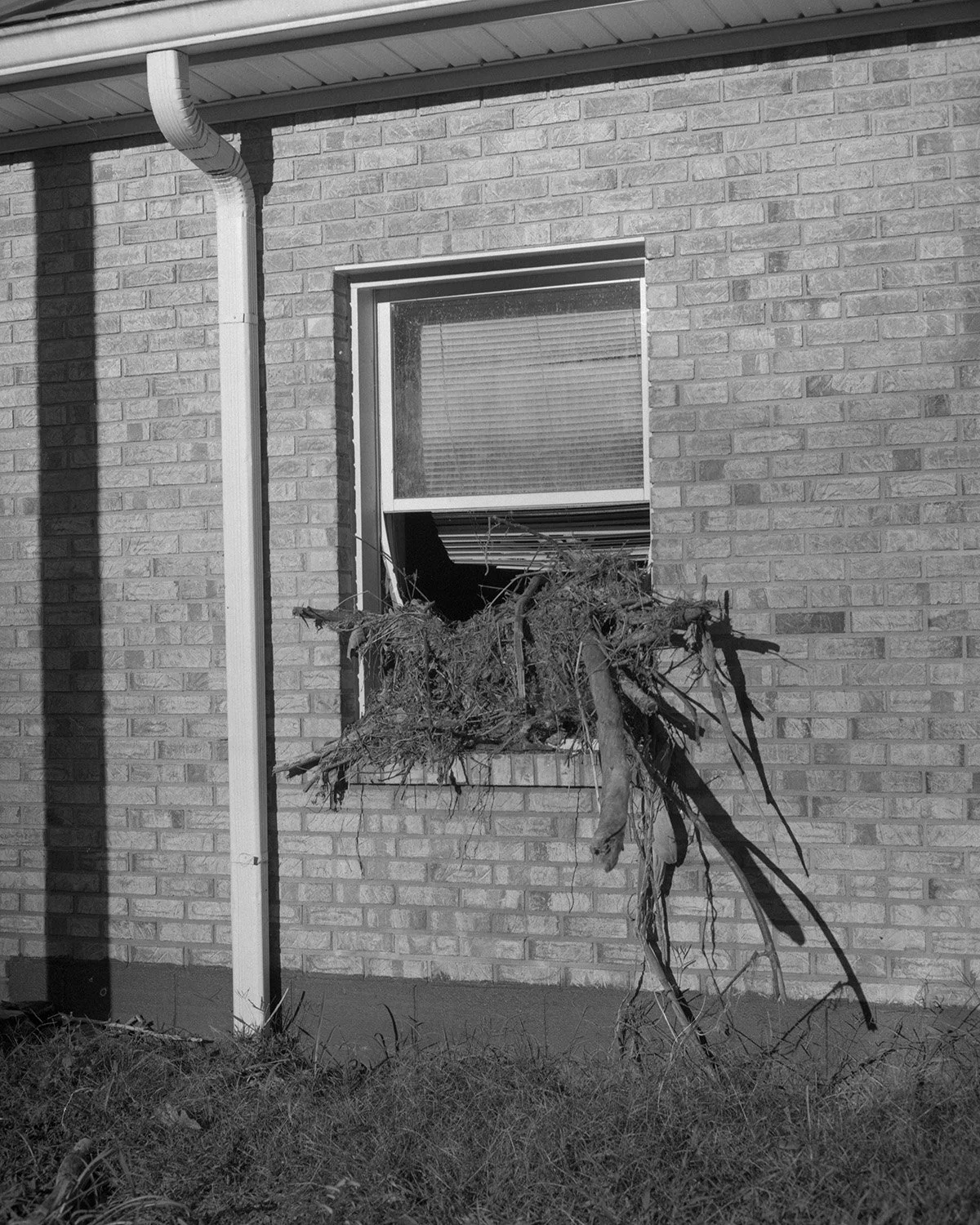 FloodChicoEdit023.JPG