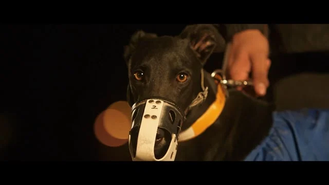 Hannah Georgas - "Enemies"