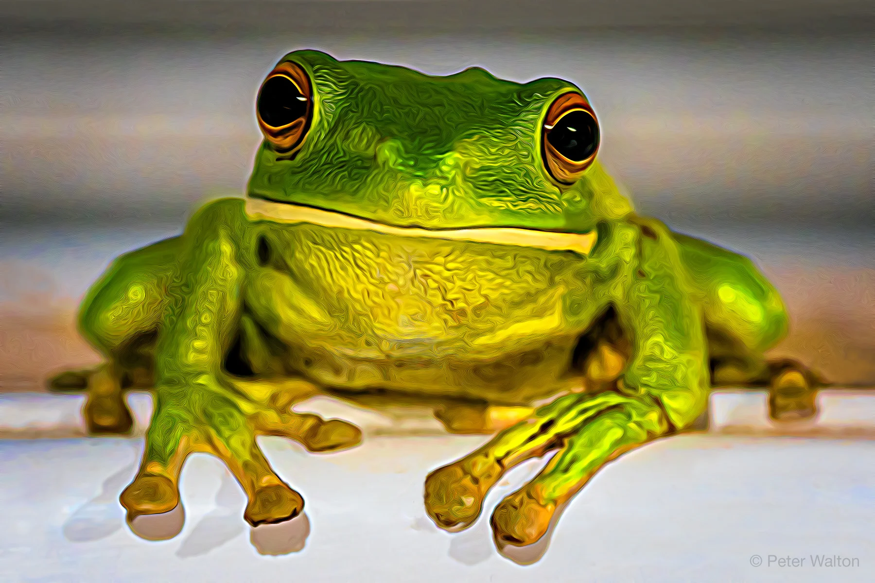 Expressive Frog.jpg