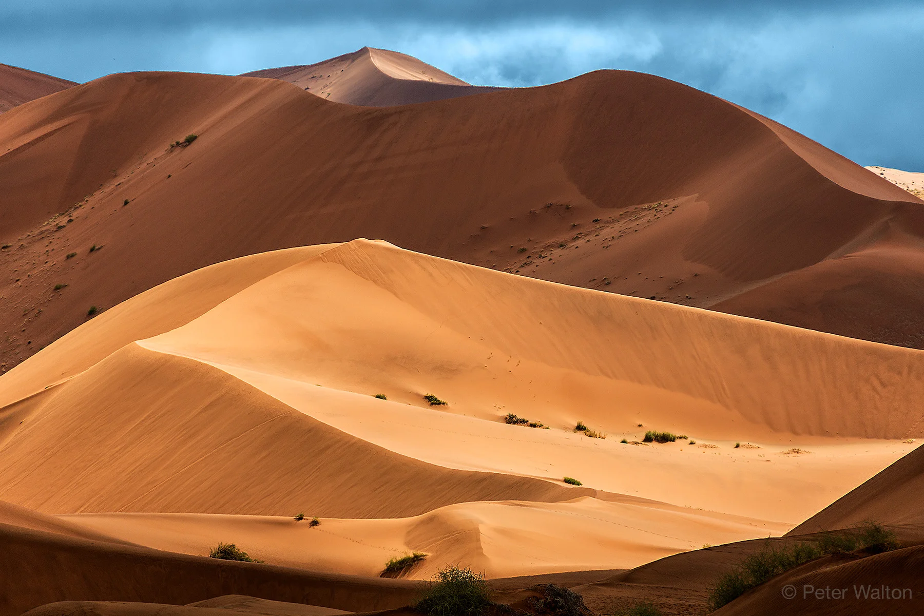 KN+ Namib Sand dunes 1.jpg