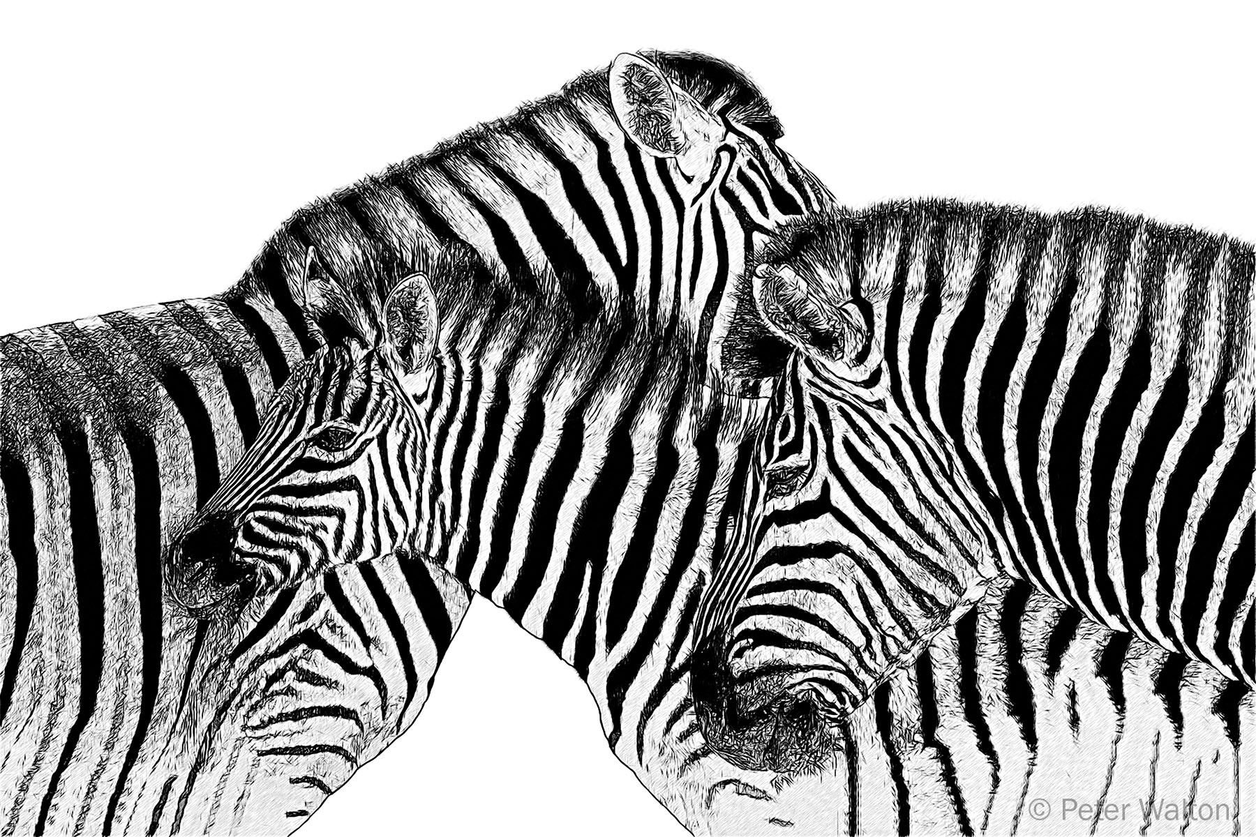 A 226 Three of a kind.jpg