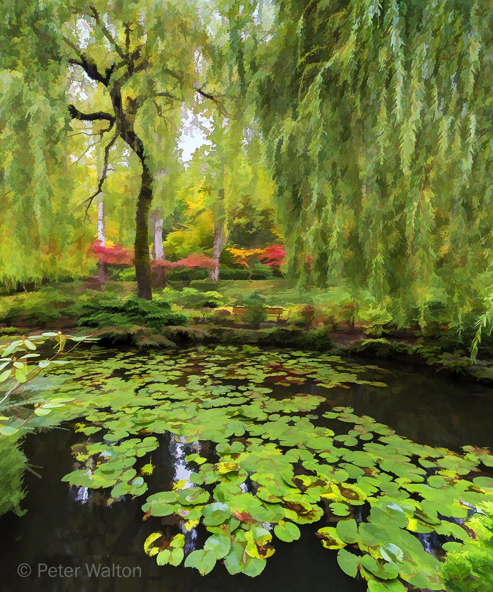 LR 201 Inspired by Monet.jpg