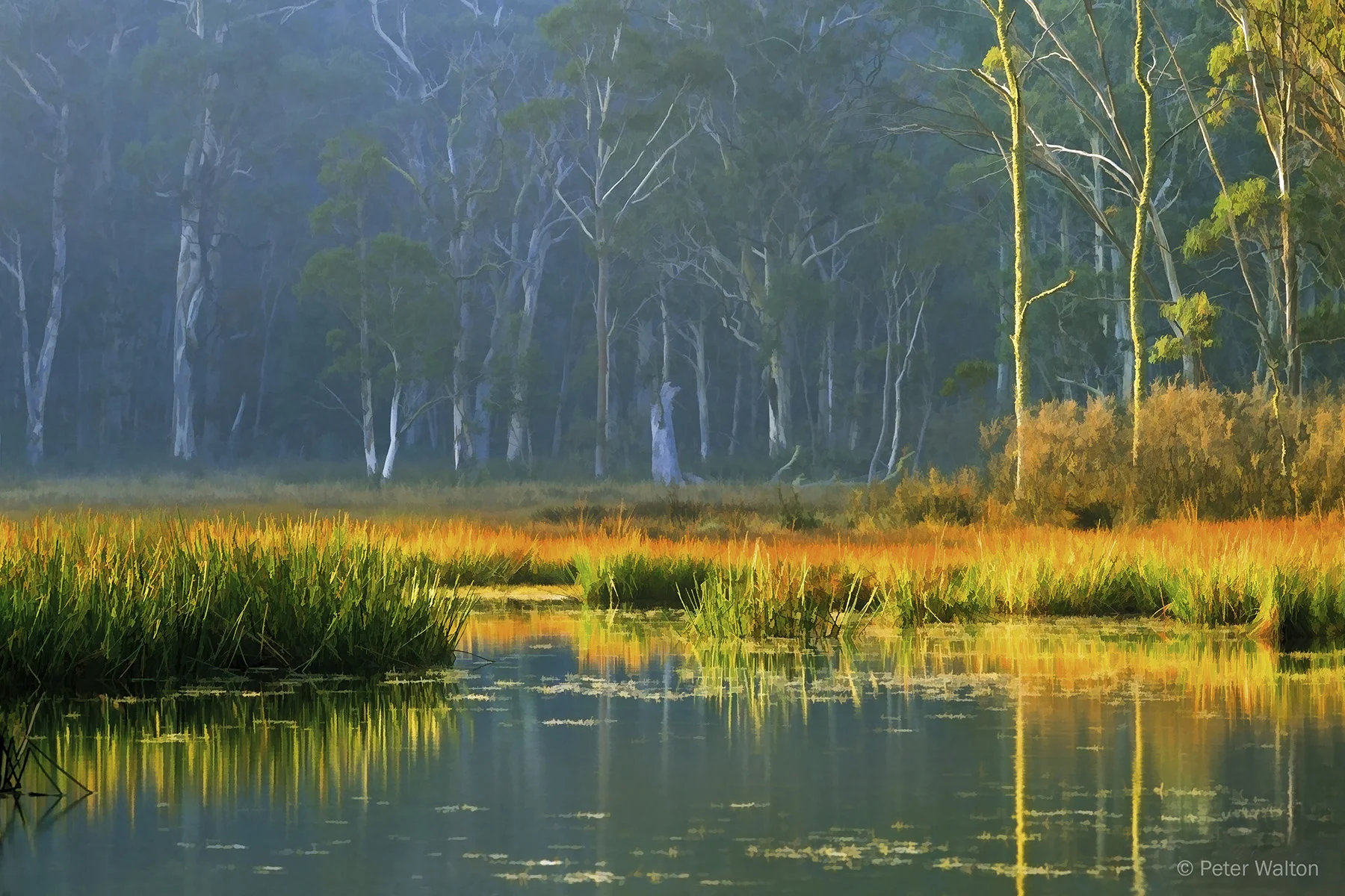 LR 243 Central Vic Lake.jpg