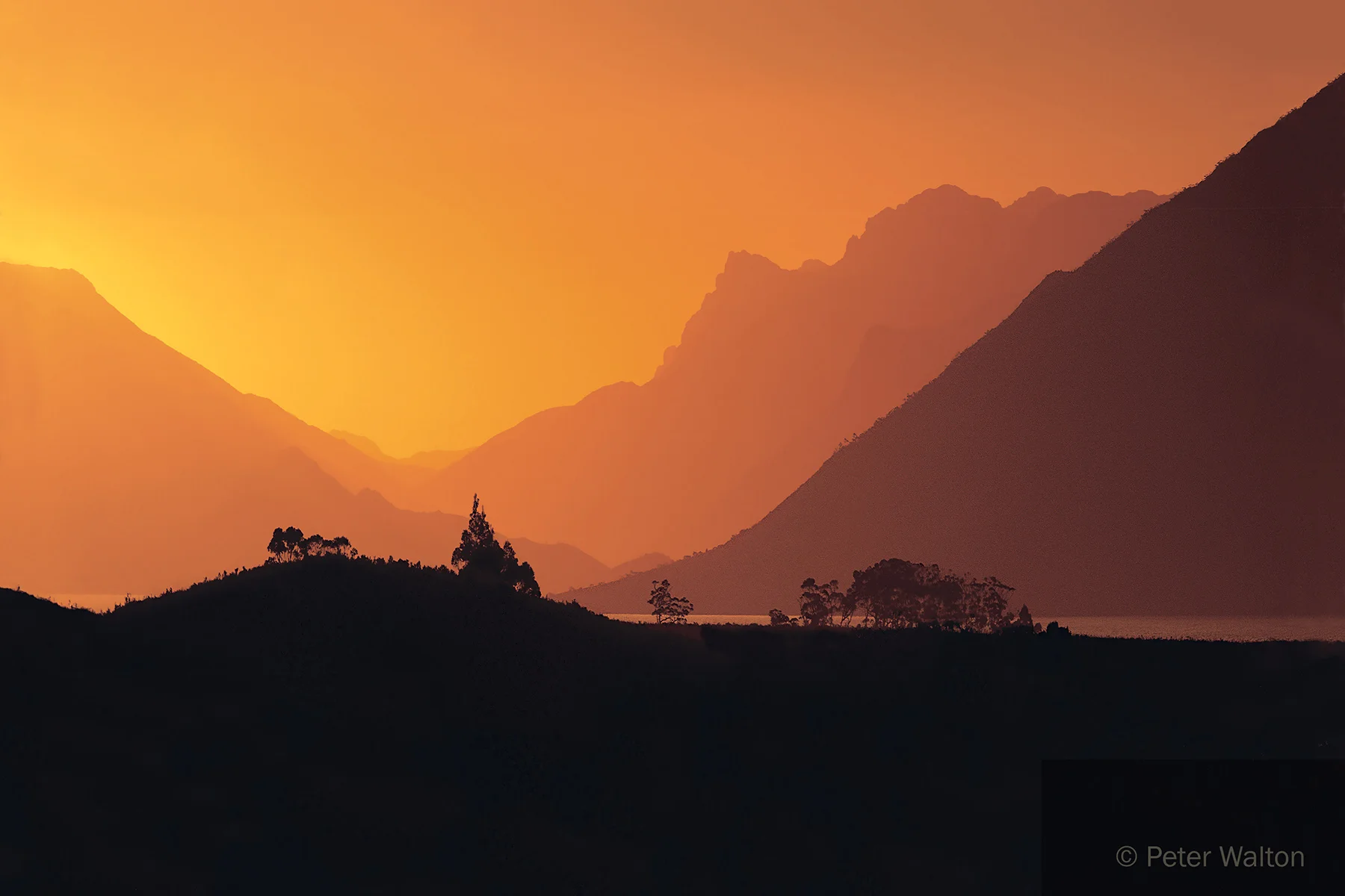 LR 246 Lake Pedder Silhouette.jpg