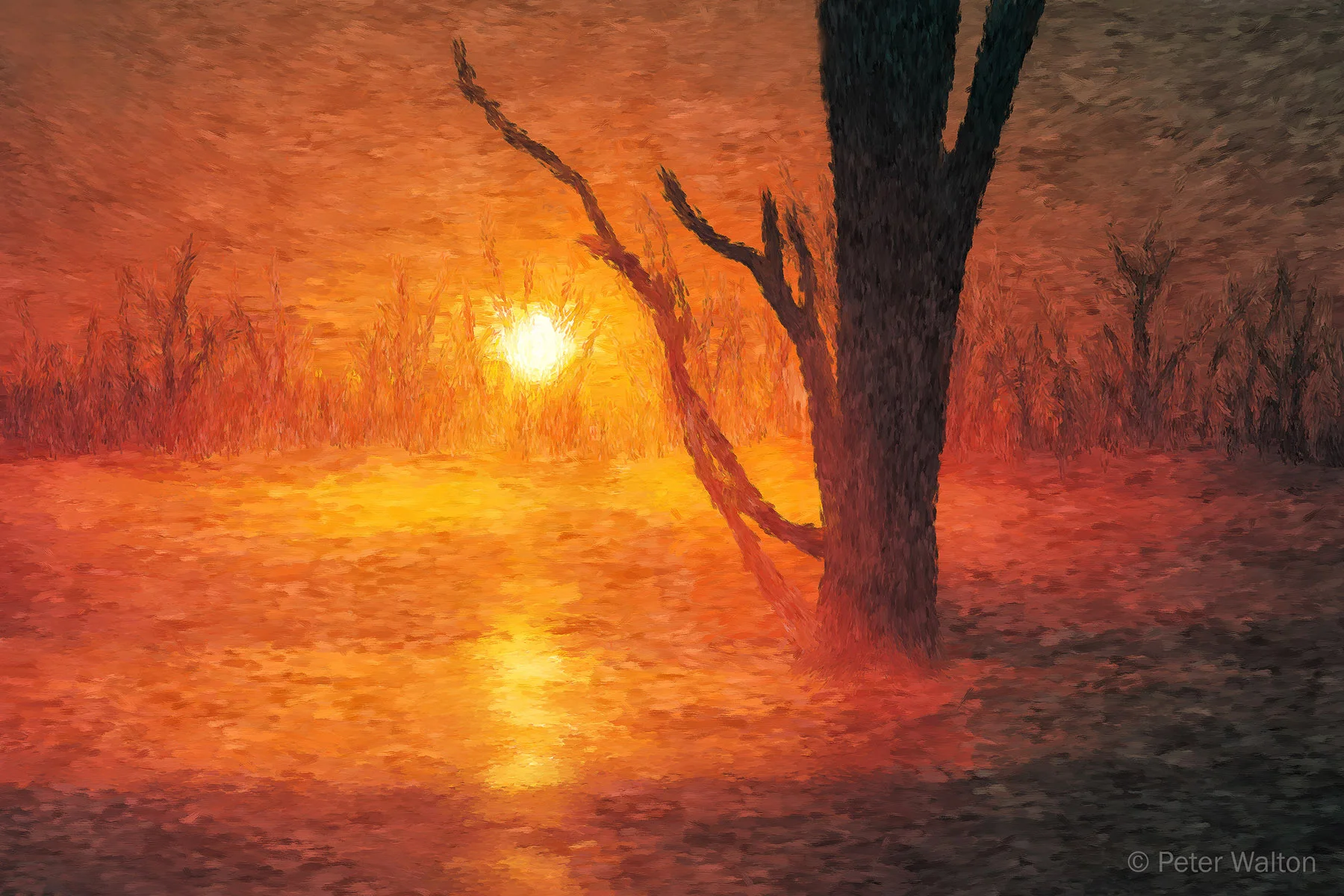 T 244 Lake Mulwala Dreaming.jpg