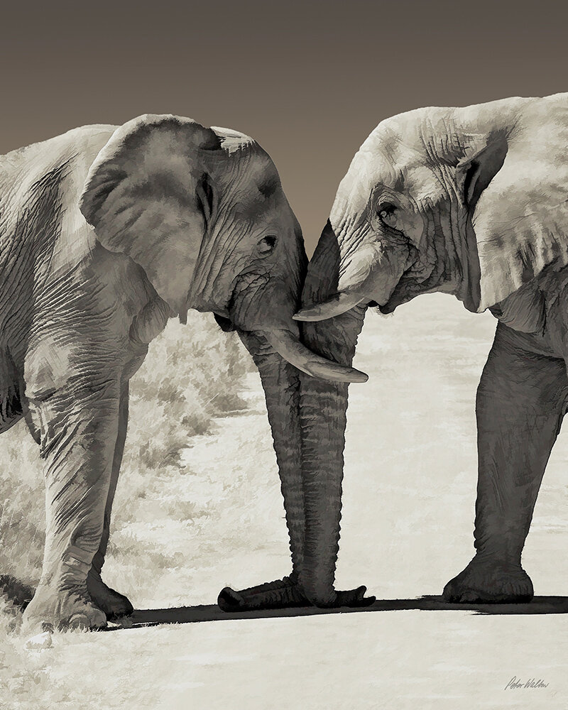 HEAD TO HEAD