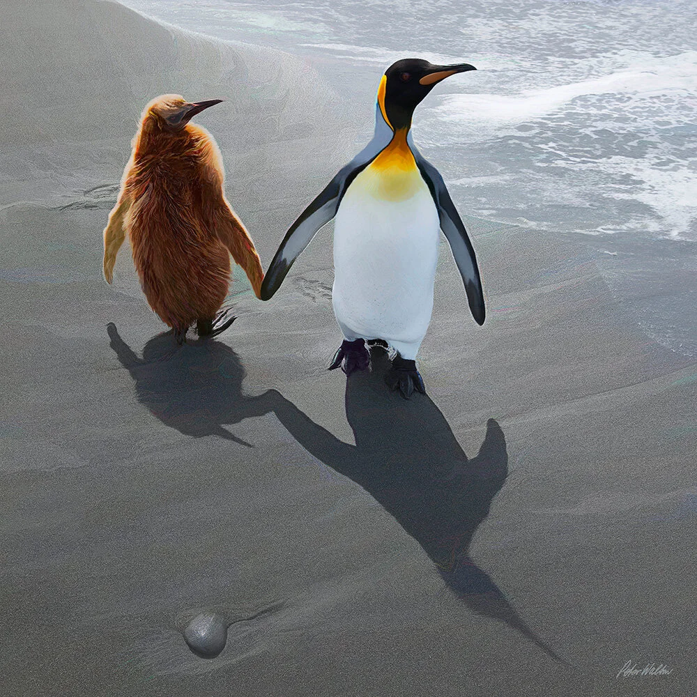 MOTHER AND BABY PENGUIN