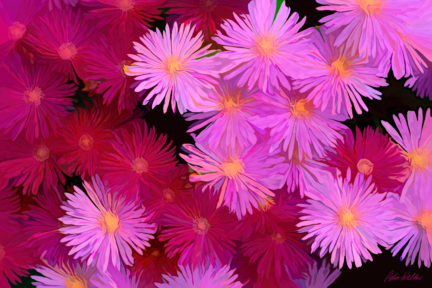 FLORAL FANTASY