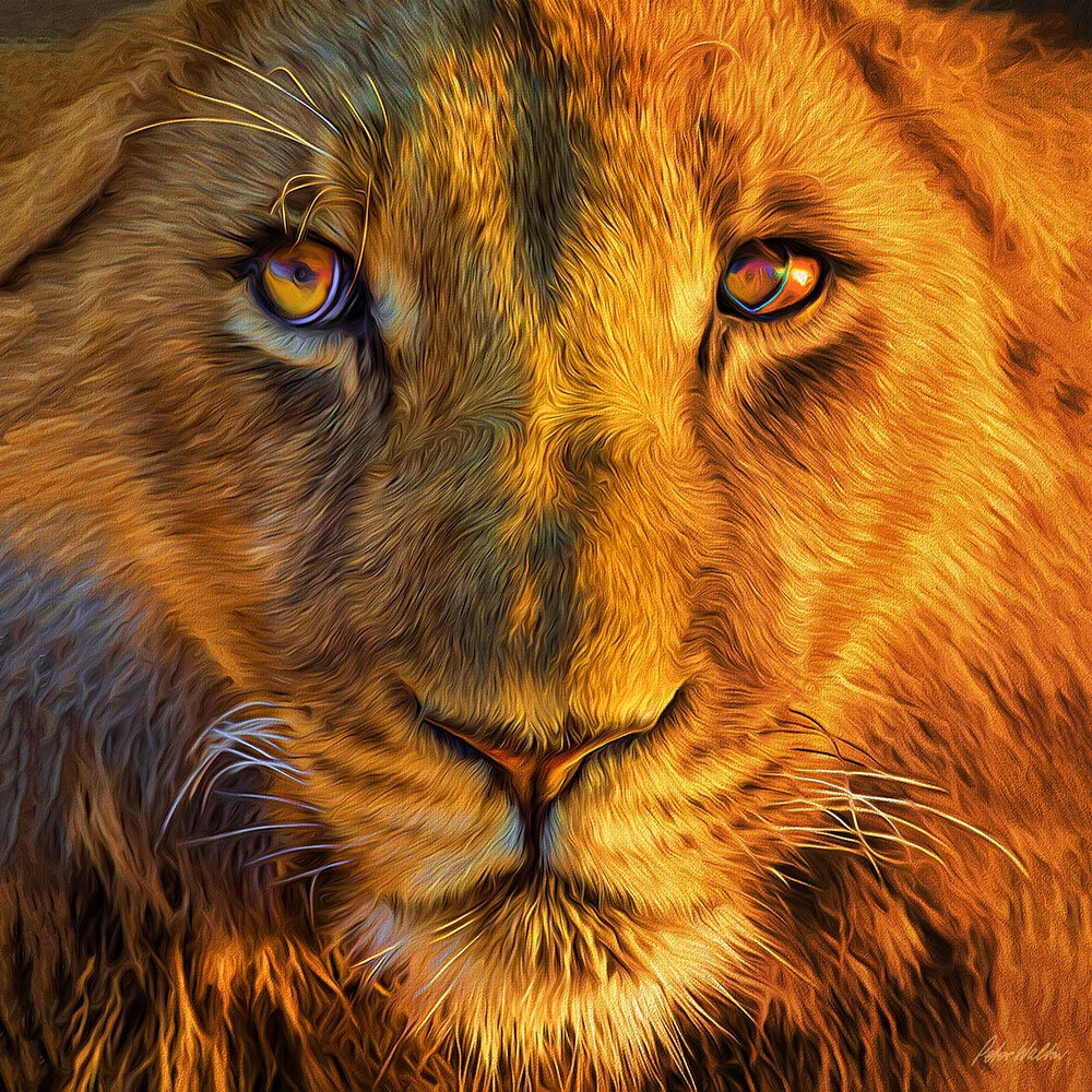 The Cross-Eyed Lion