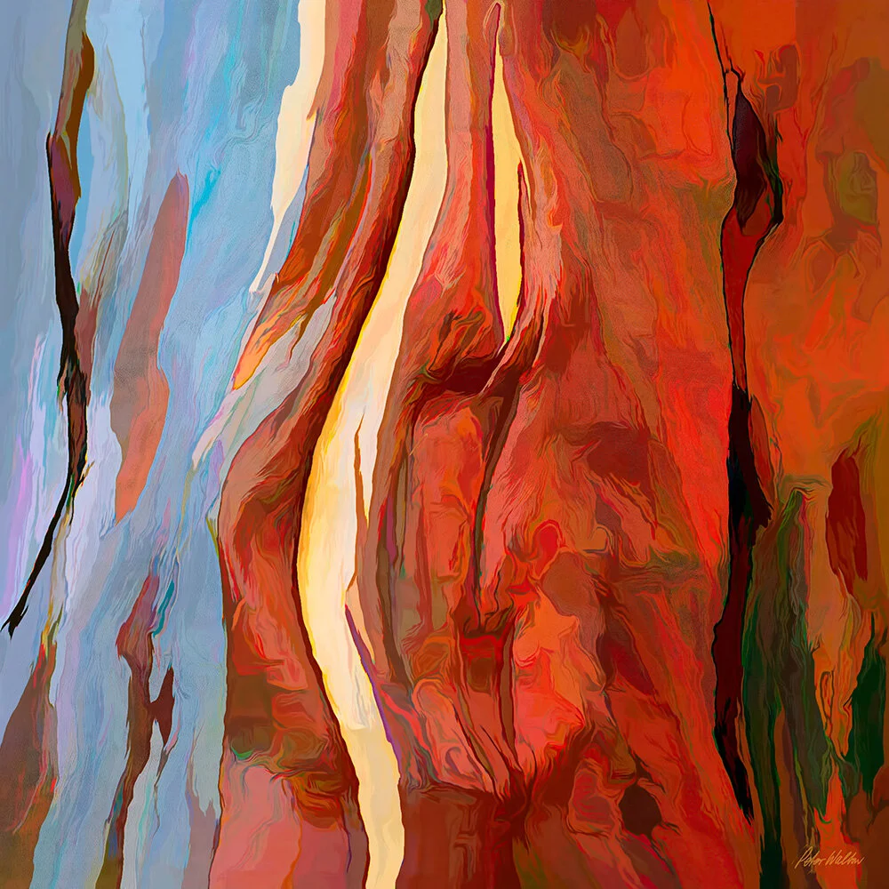 Eucalypt Impression