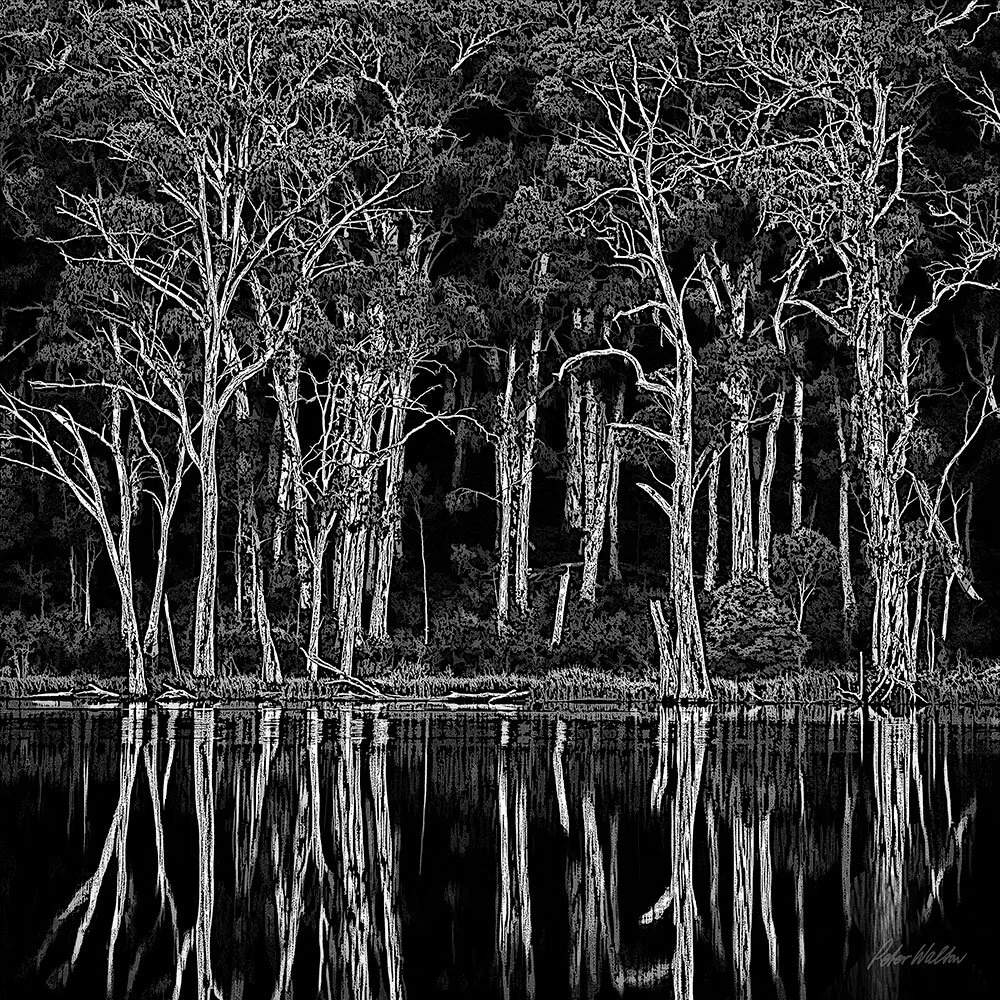 Lake Cobbler Sentinels