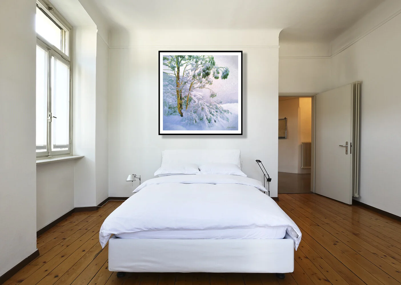 Buffalo Snow Gums.room.jpg