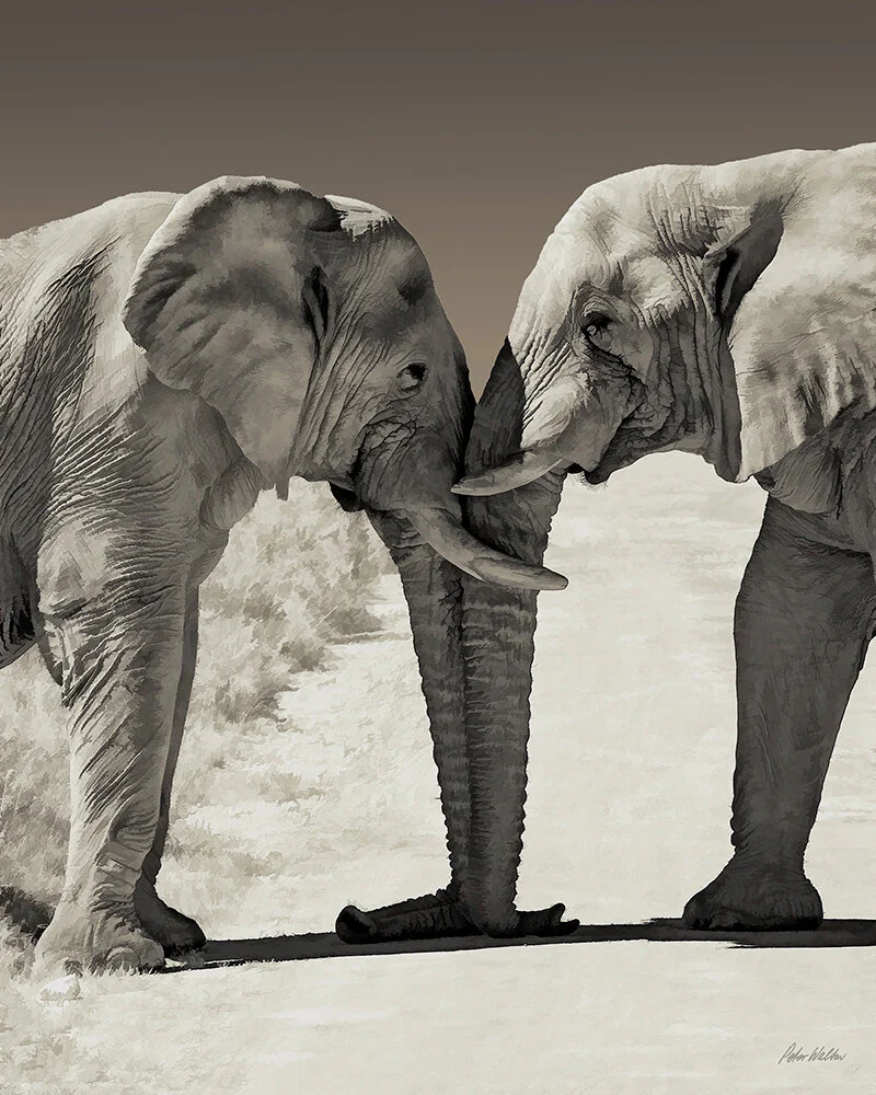 Head to Head
