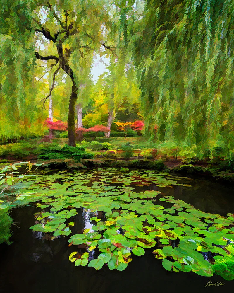 Monet Inspired Garden