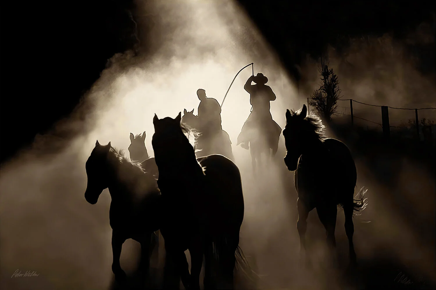 High Country Roundup
