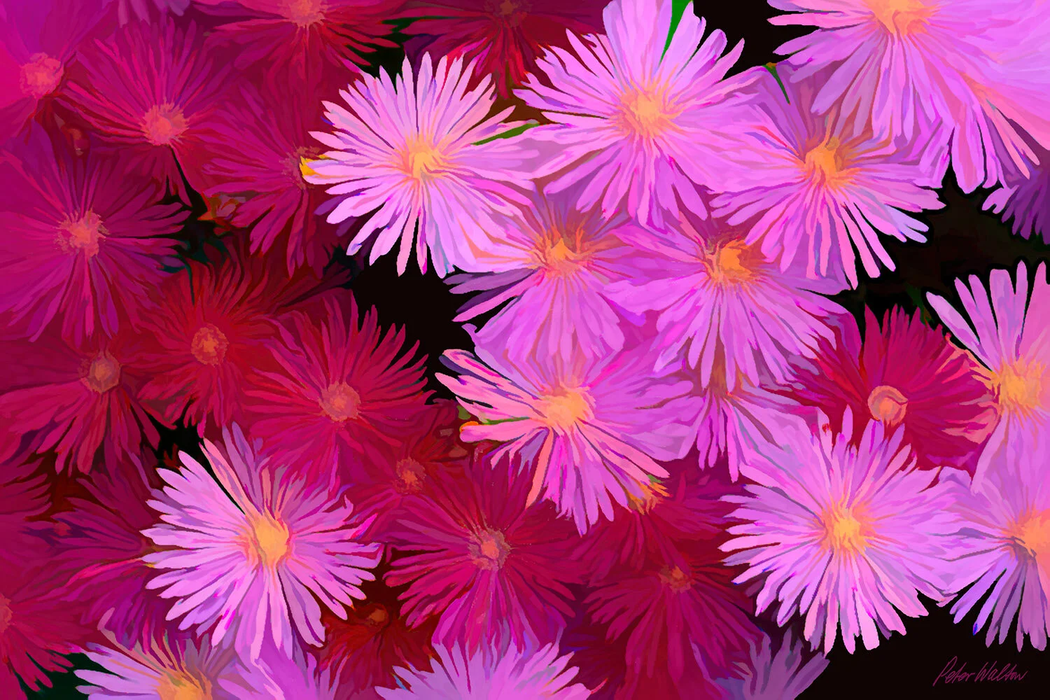 Floral Fantasy