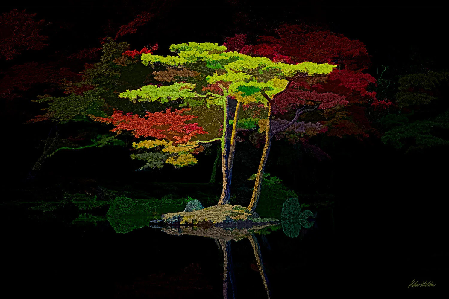 Mirror Pond Tapestry