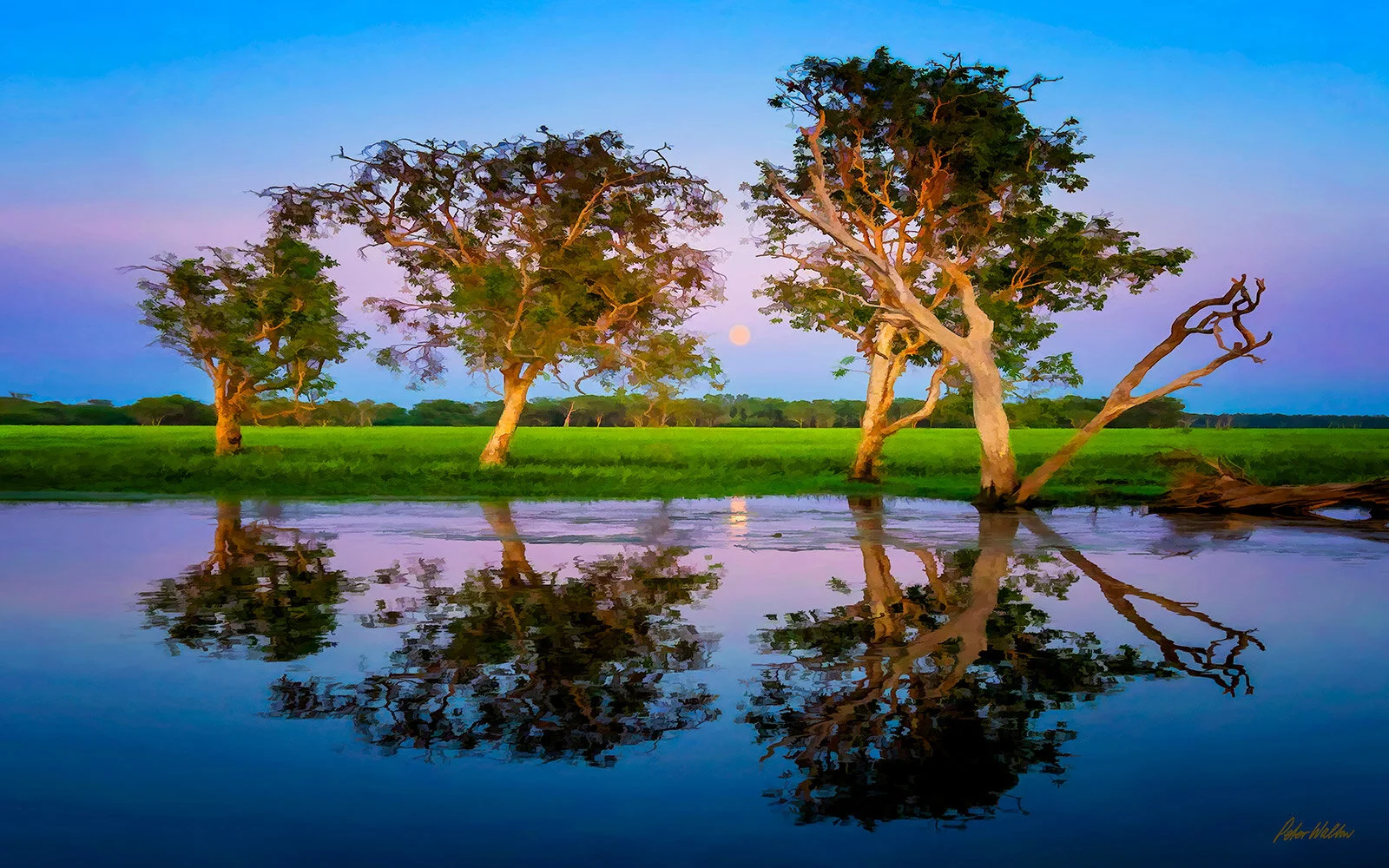 Moonrise at Kakadu