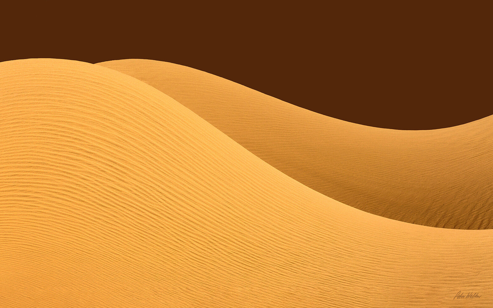 Sensuous Sand Dunes 1