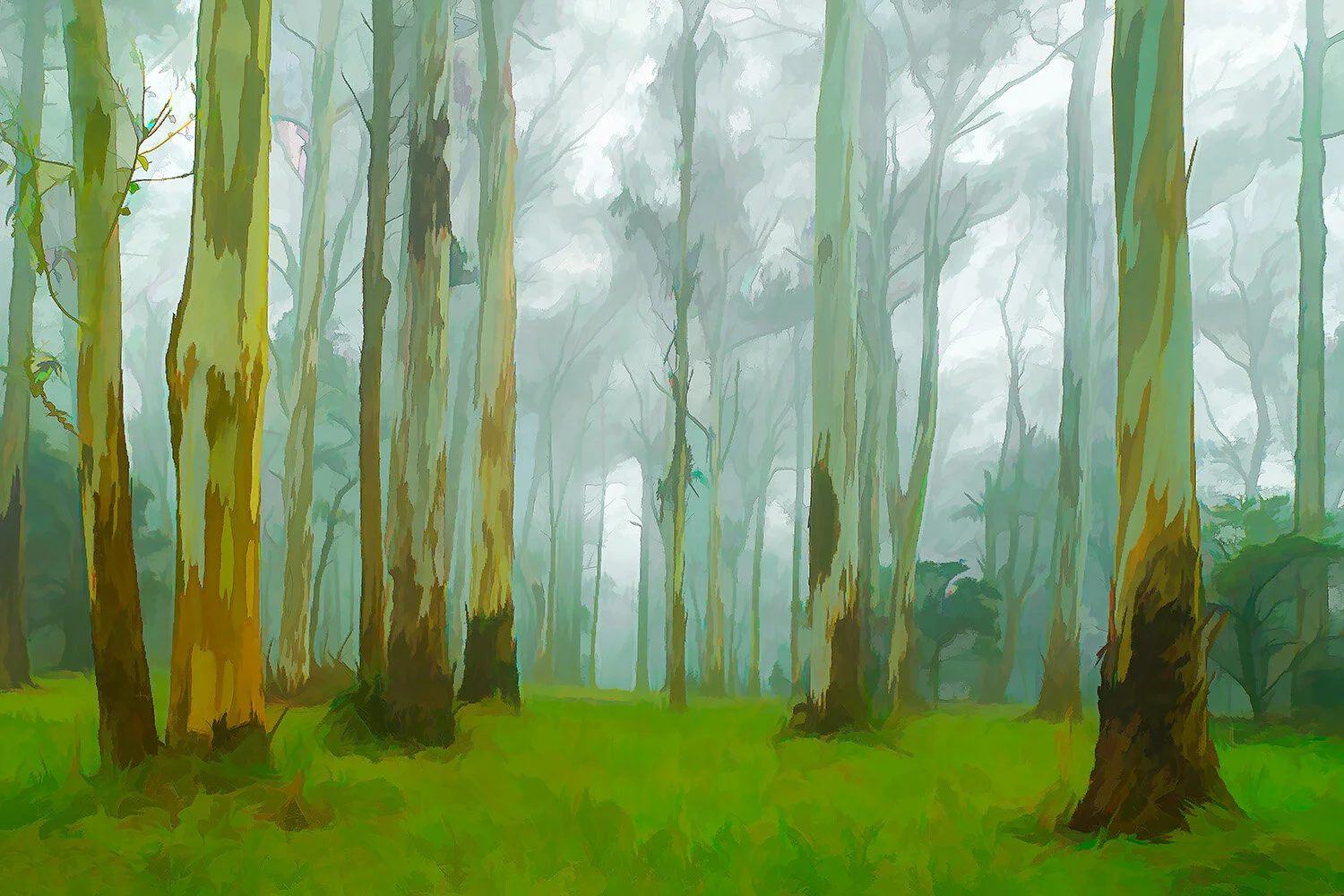 Misty Forest