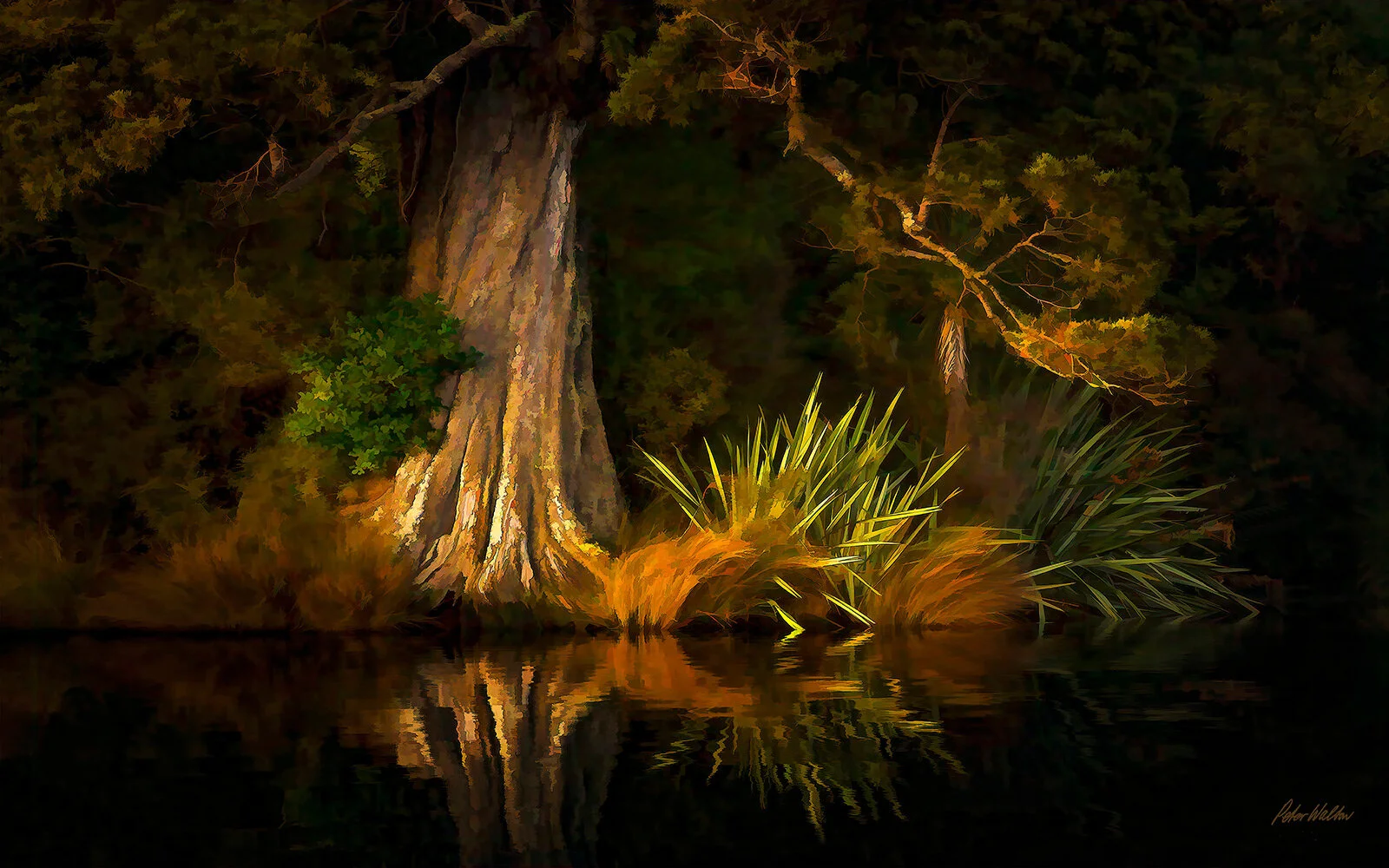 Secret Tree