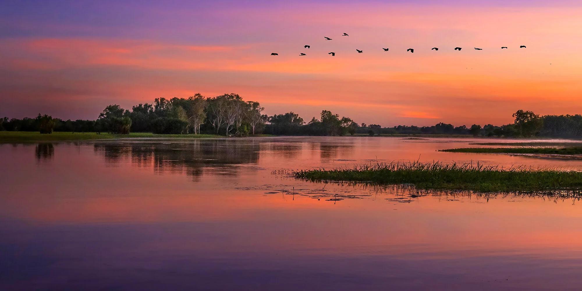 Yellow Water Serenity