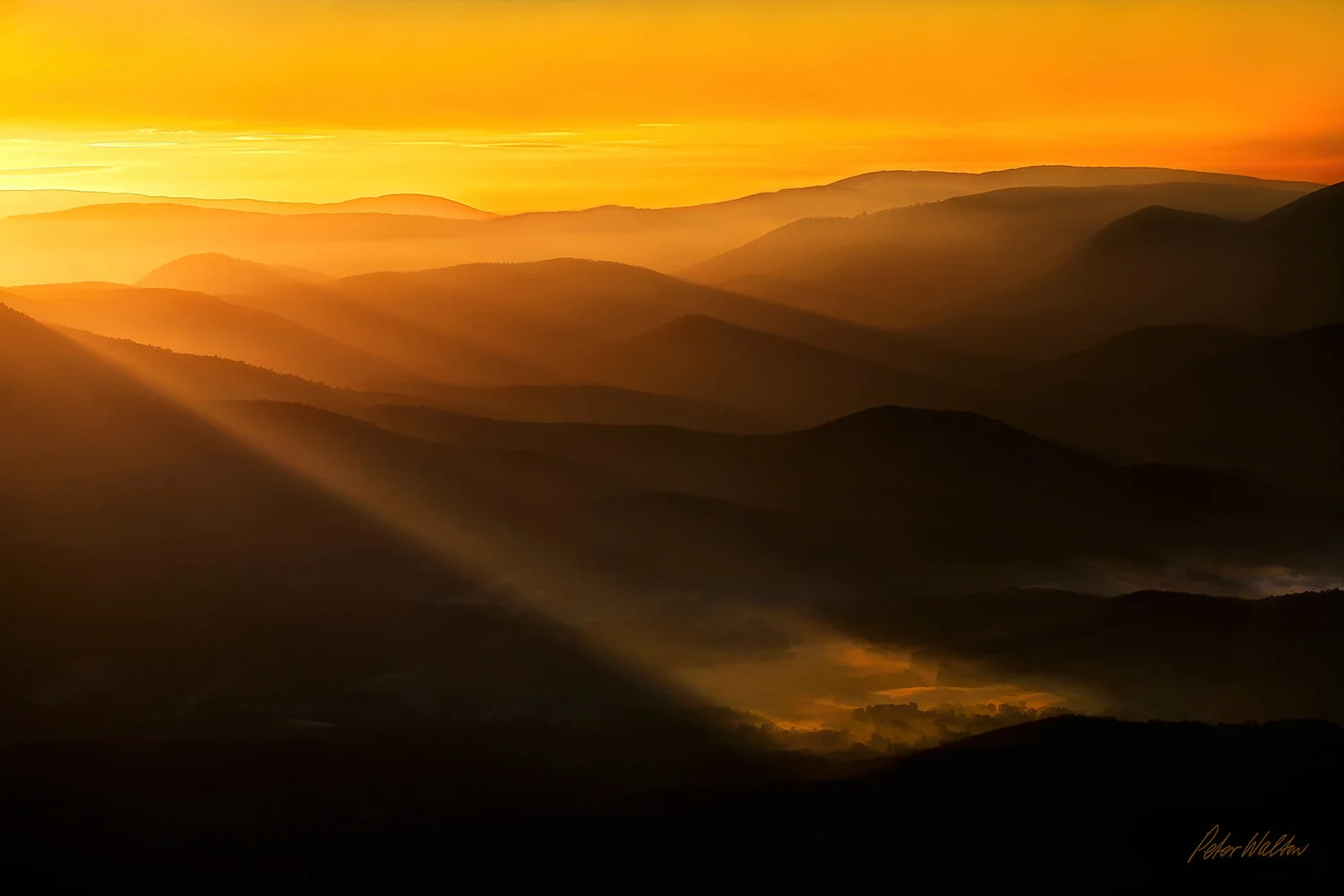 First Light